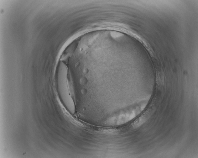 X0000079281522200612081740