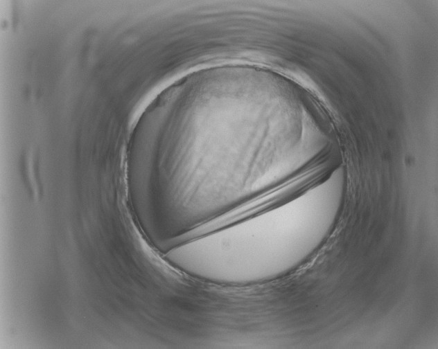 X0000079281524200612081740