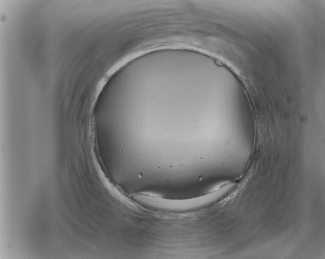 X0000079281526200612081740