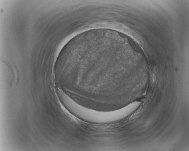 X0000079281527200612081740