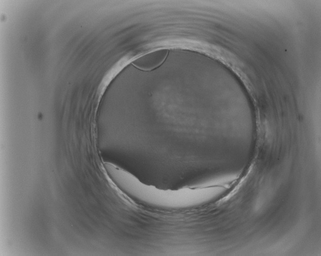 X0000079281529200612081740