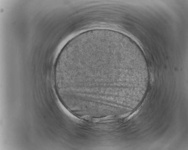 X0000079281531200612081740