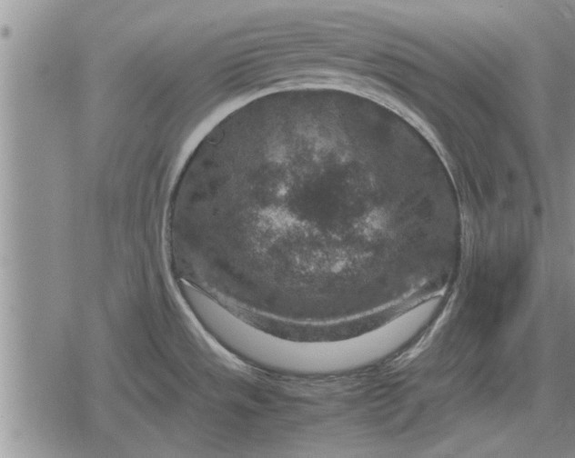 X0000079281533200612081740