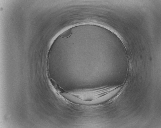 X0000079281534200612081740