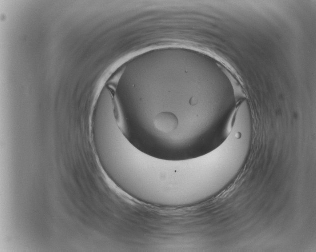 X0000079281535200612081740