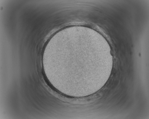 X0000079280011200612151648