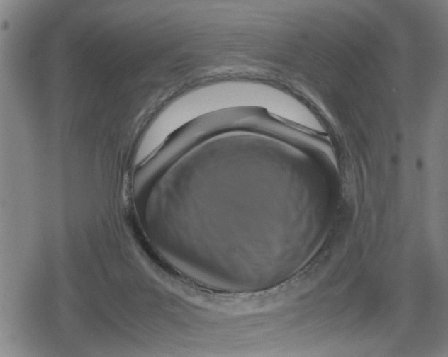 X0000079280023200612151648