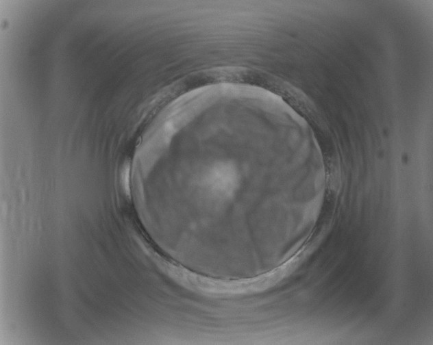 X0000079280047200612151648