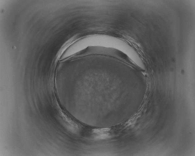 X0000079280051200612151647