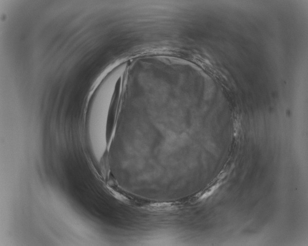 X0000079280052200612151647