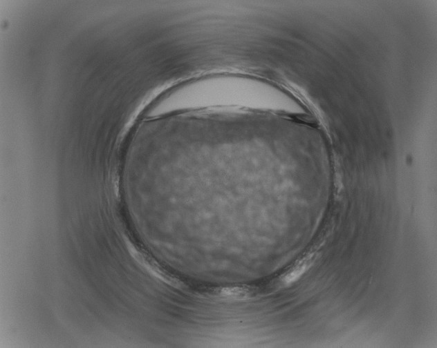 X0000079280060200612151647