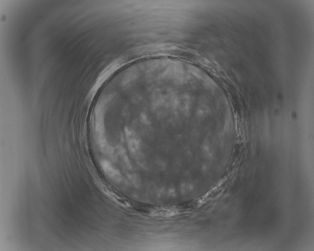 X0000079280099200612151647