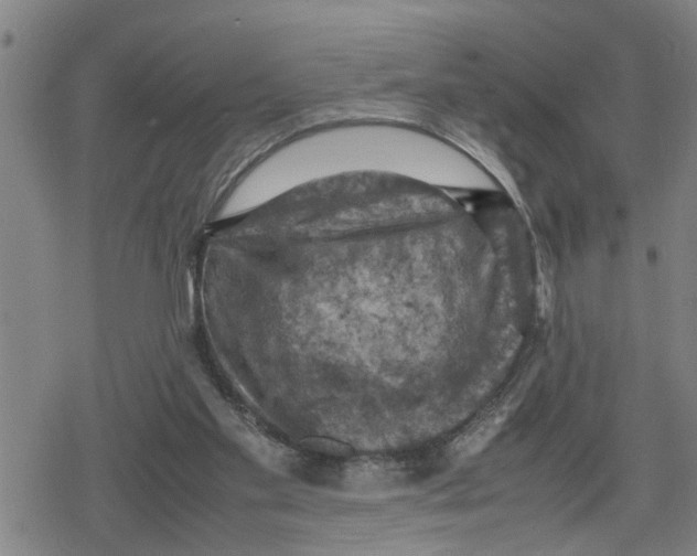 X0000079280109200612151647