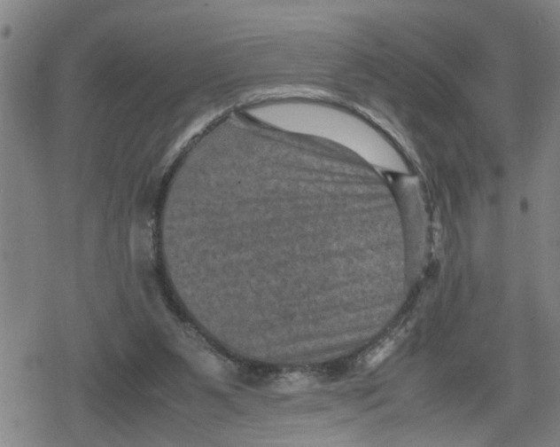 X0000079280111200612151647