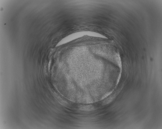 X0000079280185200612151646