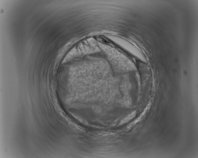 X0000079280193200612151645