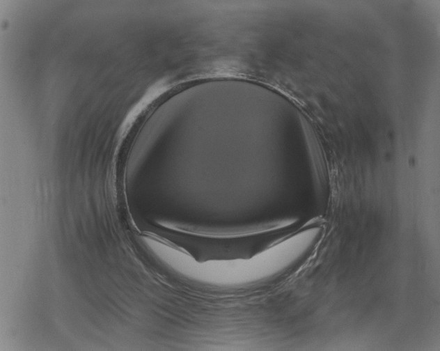 X0000079280200200612151645