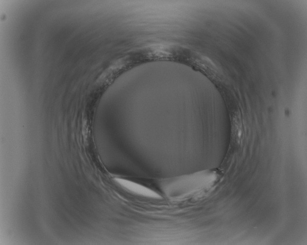 X0000079280223200612151645