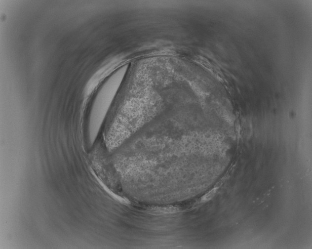 X0000079280245200612151644