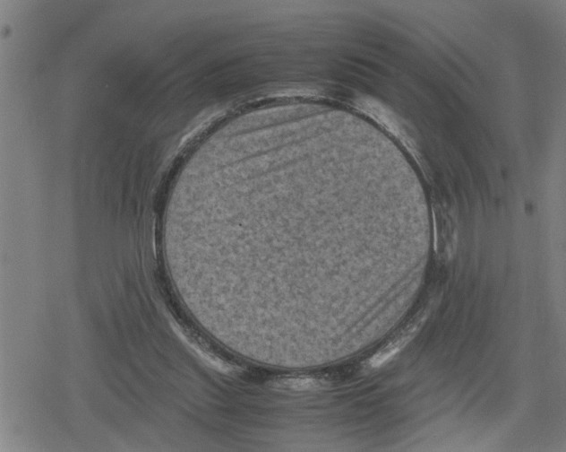 X0000079280253200612151644