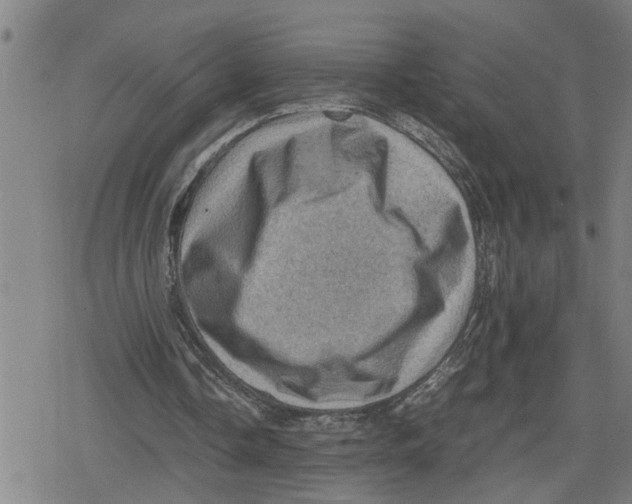 X0000079280338200612151642