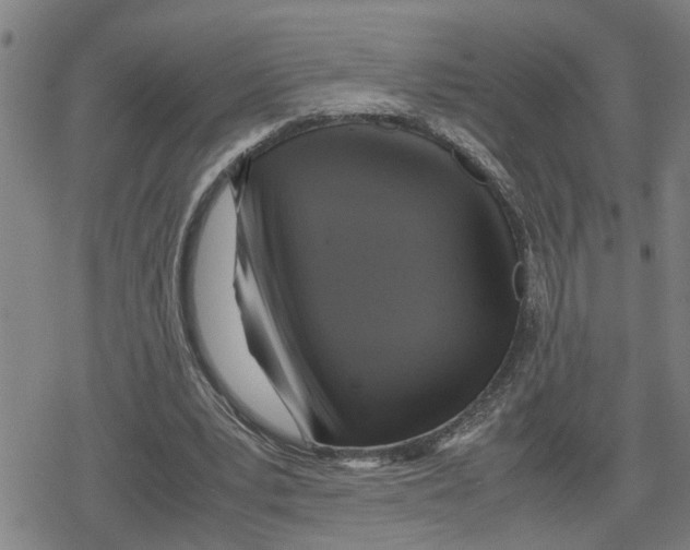 X0000079280391200612151642