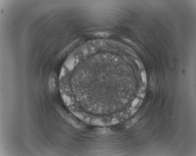 X0000079280424200612151642