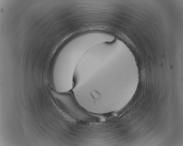X0000079280444200612151641