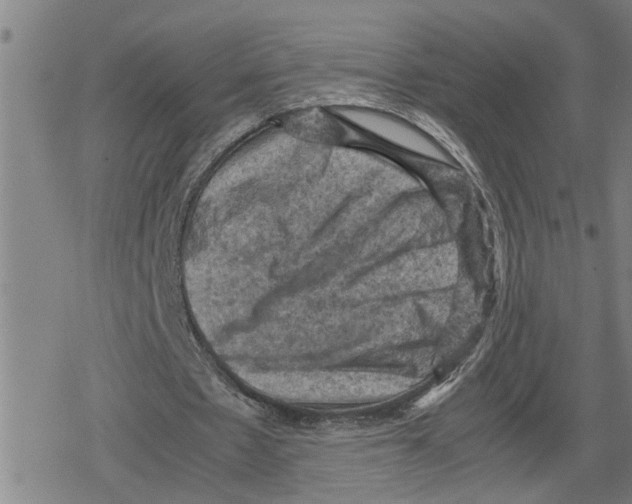 X0000079280481200612151641
