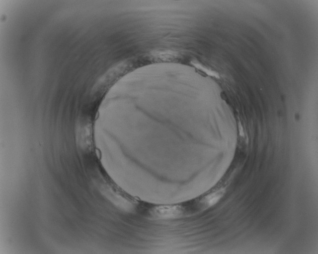X0000079280526200612151640