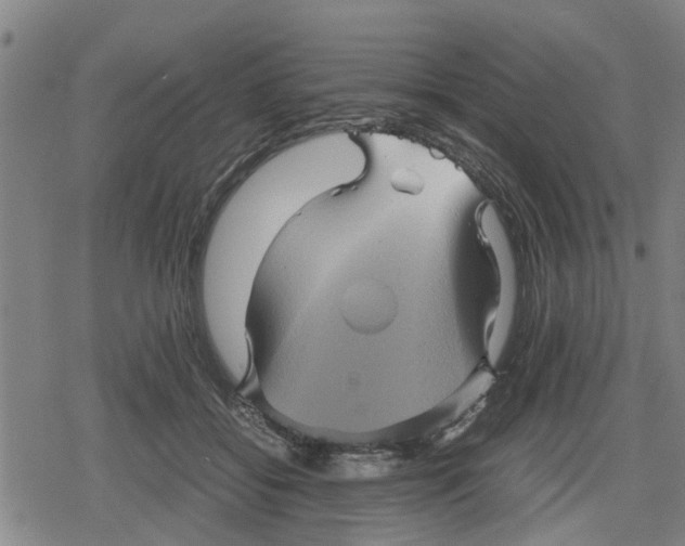 X0000079280556200612151640