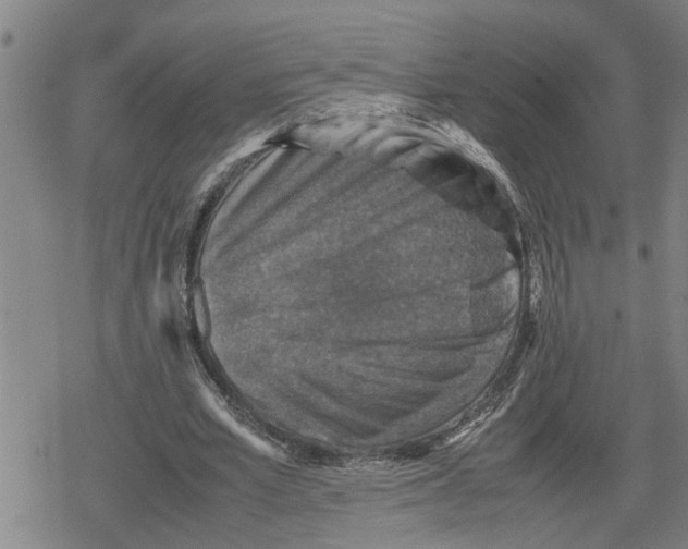 X0000079280581200612151639