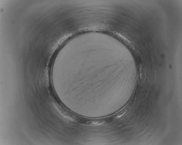 X0000079280678200612151637