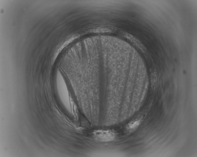 X0000079280727200612151636
