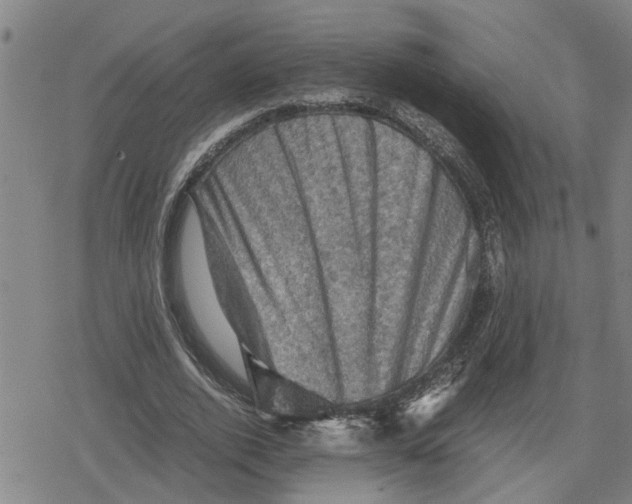 X0000079280728200612151636