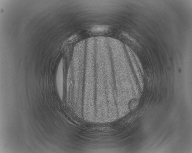 X0000079280745200612151636