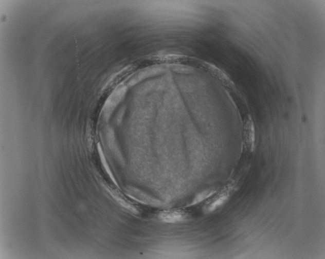X0000079280762200612151637