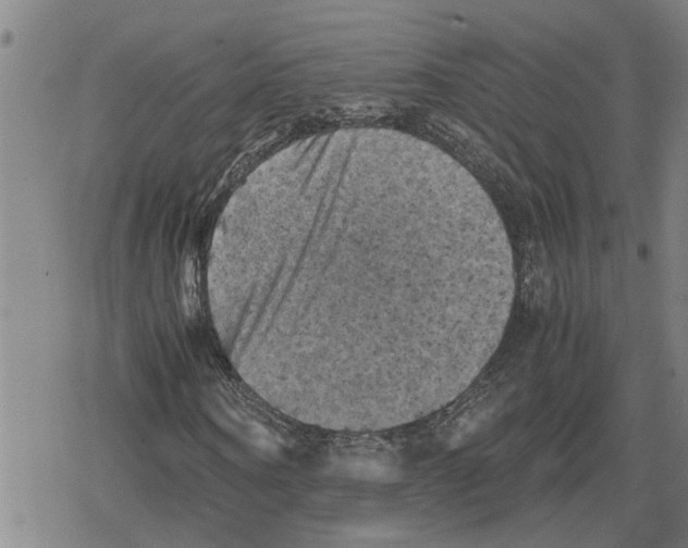 X0000079280866200612151634