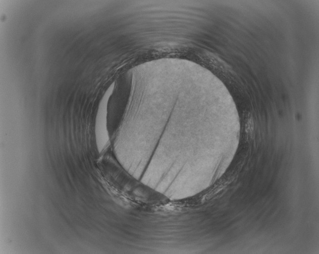 X0000079280868200612151634
