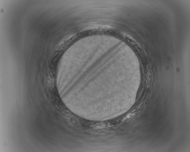 X0000079280869200612151634