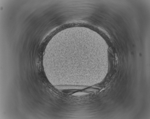 X0000079280872200612151634