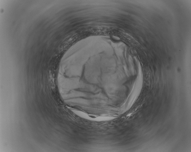 X0000079281013200612151631