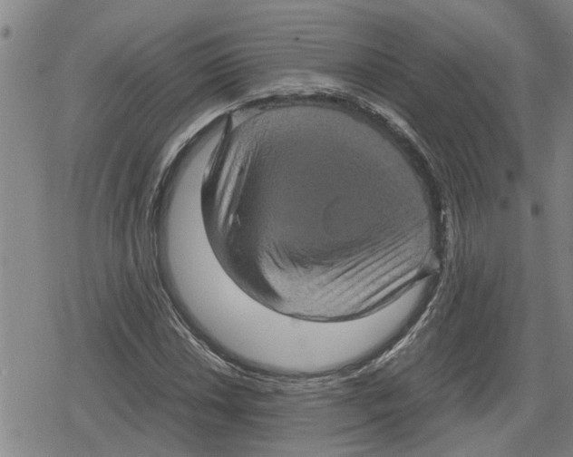 X0000079281018200612151631