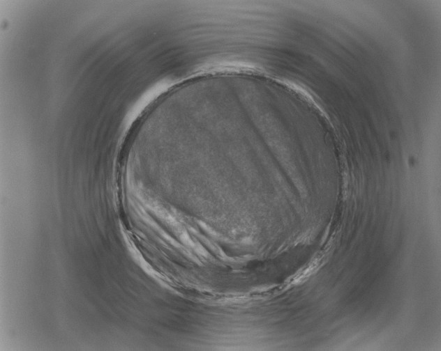 X0000079281038200612151632
