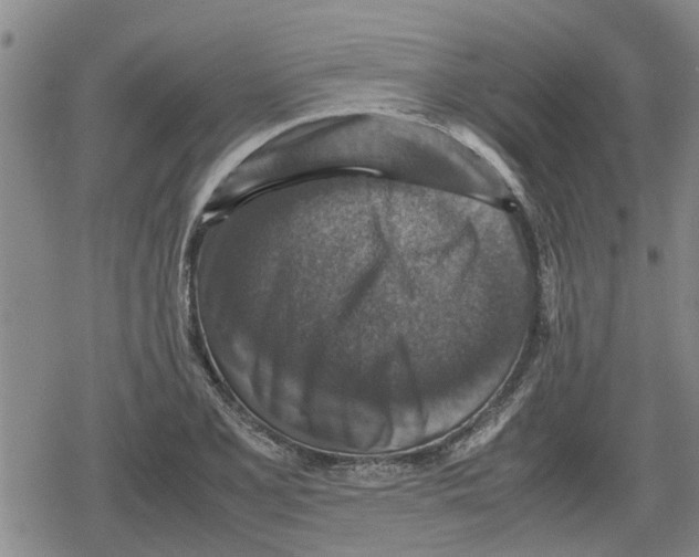 X0000079281077200612151631