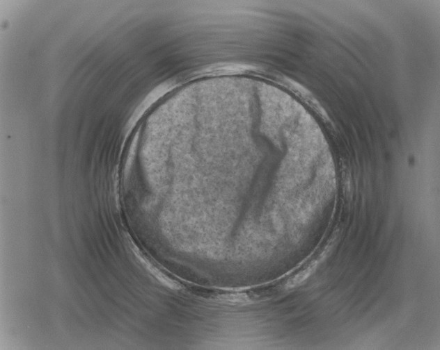 X0000079281186200612151629