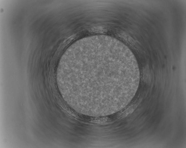X0000079281201200612151628