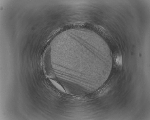 X0000079281252200612151628