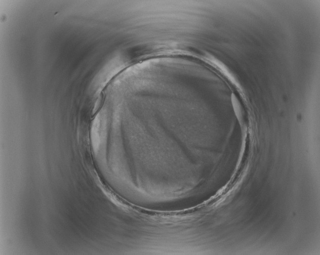 X0000079281289200612151628