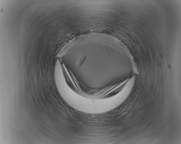 X0000079281298200612151627